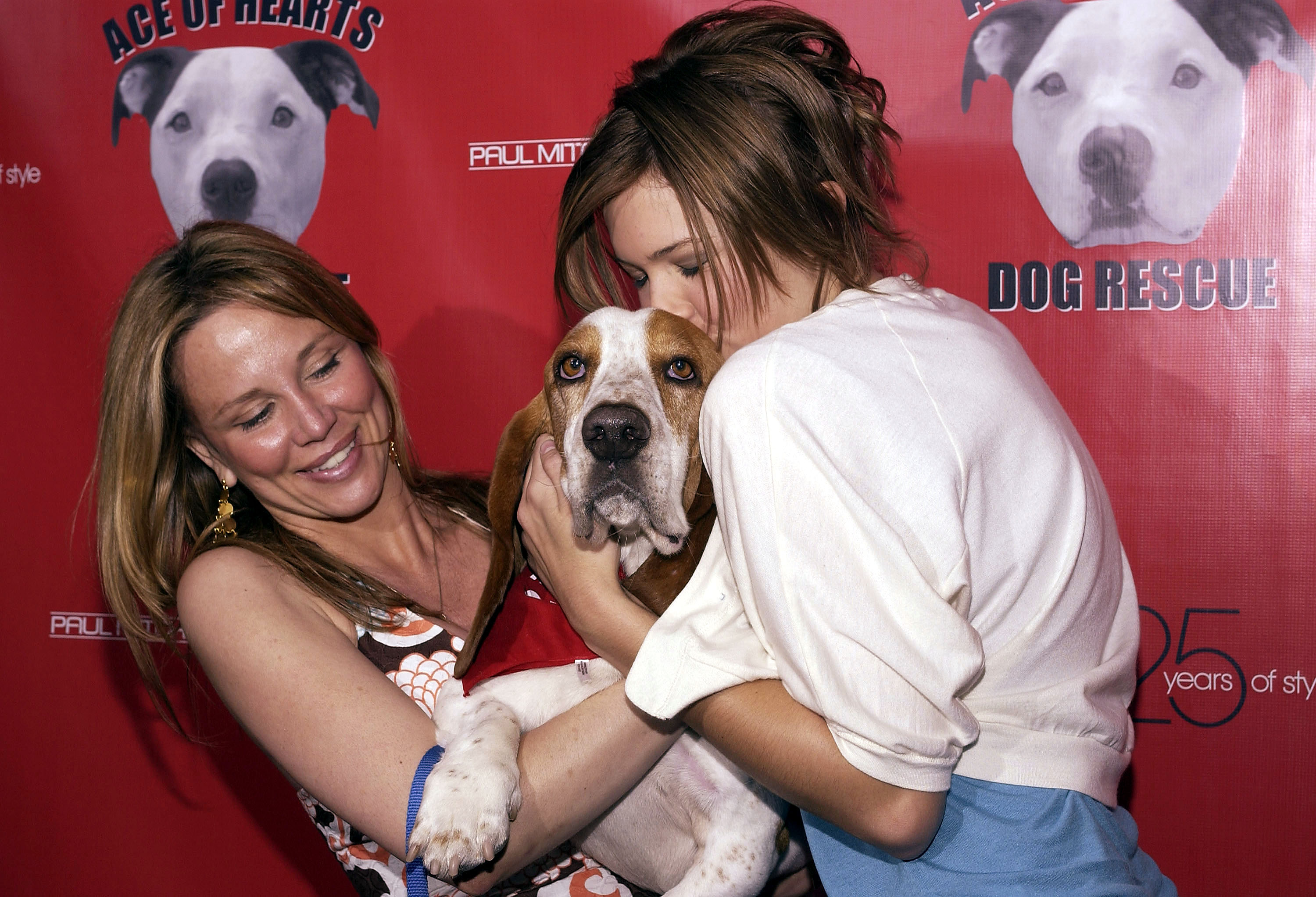 52700903.jpg 52700903.jpg